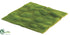 Silk Plants Direct Moss Sheet - Green - Pack of 12