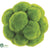 Moss Ball - Green - Pack of 6