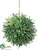 Rosemary Ball - Green - Pack of 12