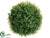 Tea Leaf Ball - Green - Pack of 6