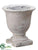 Cement Urn - Whitewashed - Pack of 6