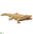 Crocodile - Beige - Pack of 1