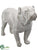 Bulldog - Gray Whitewashed - Pack of 1