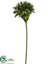 Silk Plants Direct Preserved Pod Spray - Green - Pack of 12