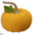 Pumpkin - Mustard - Pack of 12