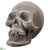 Skull - Gray - Pack of 2