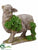 Succulent Lamb - Green Brown - Pack of 2