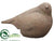 Bird - Beige Brown - Pack of 1