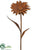 Metal Gerbera Daisy Garden Stake - Rust - Pack of 4