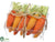 Carrots - Orange Two Tone - Pack of 6