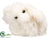 Bunny - White - Pack of 12