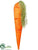 Carrot - Orange - Pack of 6