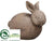 Bunny - Beige Brown - Pack of 2