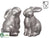 Bunny Salt, Pepper Shaker - Silver - Pack of 6