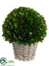 Silk Plants Direct Preserved Boxwood Ball - Green - Pack of 1