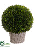 Silk Plants Direct Preserved Boxwood Ball - Green - Pack of 1