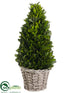 Silk Plants Direct Preserved Boxwood Cone Topiary - Green - Pack of 1