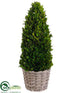 Silk Plants Direct Preserved Boxwood Cone Topiary - Green - Pack of 1