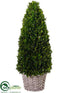 Silk Plants Direct Preserved Boxwood Cone Topiary - Green - Pack of 1