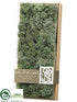 Silk Plants Direct Preserved Reindeer Moss - Green Gray - Pack of 4