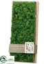 Silk Plants Direct Preserved Reindeer Moss - Green - Pack of 4