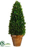 Silk Plants Direct Preserved Boxwood Cone Topiary - Green - Pack of 1