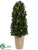 Preserved Tea Leaf Cone Topiary - Green - Pack of 1