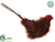 Bird - Burgundy - Pack of 12