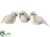 Silk Plants Direct Glittered Feather Bird - White Glittered - Pack of 8