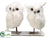 Silk Plants Direct Snow Owl - White - Pack of 6