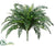 Silk Plants Direct River Fern Bush - Green - Pack of 6