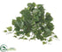 Silk Plants Direct Algerian Ivy Hanging Plant - Green - Pack of 12