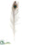 Silk Plants Direct Loose Peacock Feather - Assorted - Pack of 72