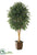 Silk Plants Direct Ficus Tree - Green - Pack of 1