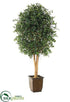 Silk Plants Direct Ficus Tree - Green - Pack of 1