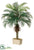 Silk Plants Direct Phoenix Palm Tree - Green - Pack of 2