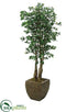 Silk Plants Direct Oriental Ficus Tree - Green - Pack of 1