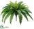 Silk Plants Direct Boston Fern Bush - Green - Pack of 6