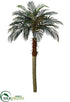 Silk Plants Direct Phoenix Palm Tree - Green - Pack of 2