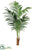 Silk Plants Direct Kentia Palm Tree - Green - Pack of 1