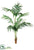 Silk Plants Direct Kentia Palm Tree - Green - Pack of 1