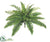 Silk Plants Direct Boston Fern Bush - Green - Pack of 6