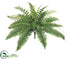 Silk Plants Direct Boston Fern Bush - Green - Pack of 6