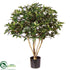 Silk Plants Direct Brazilian Pittosporum - Green - Pack of 2