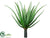 Agave Plant - Green - Pack of 2