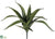 Agave Plant - Green - Pack of 6