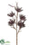 Silk Plants Direct Aeonium Stem - Burgundy - Pack of 6