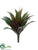 Agave Bush - Green Burgundy - Pack of 12