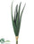 Aloe - Green - Pack of 12