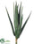 Aloe - Green - Pack of 6